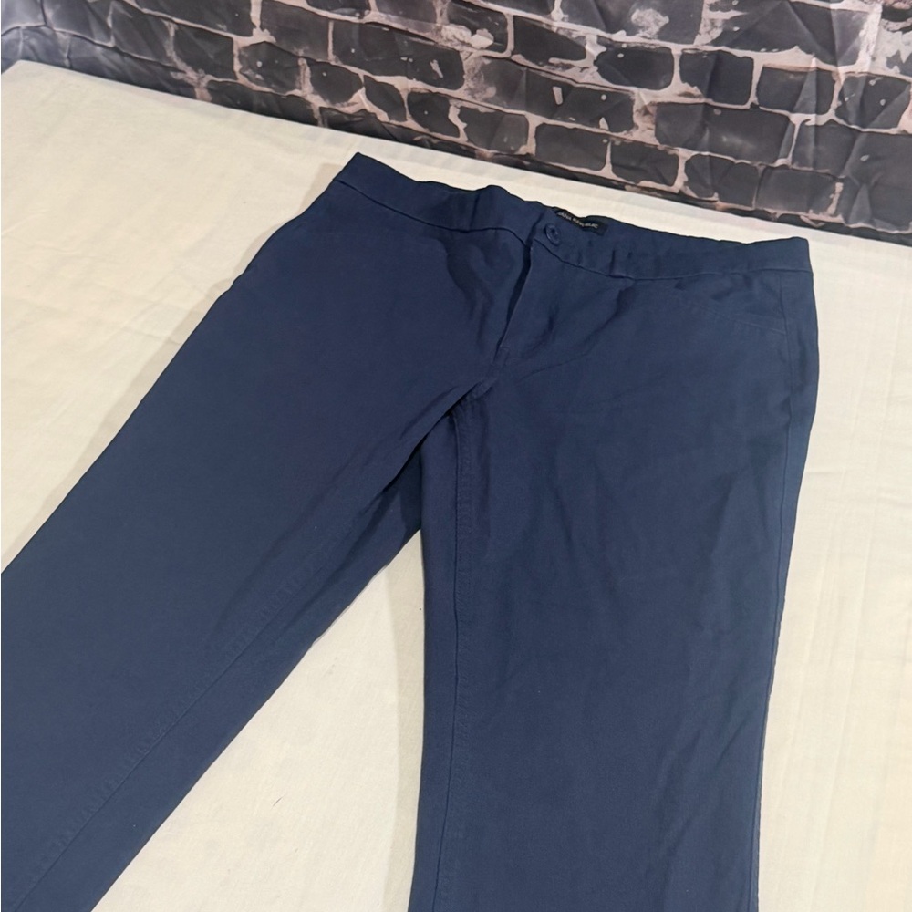 Banana Republic Navy Chino Pants